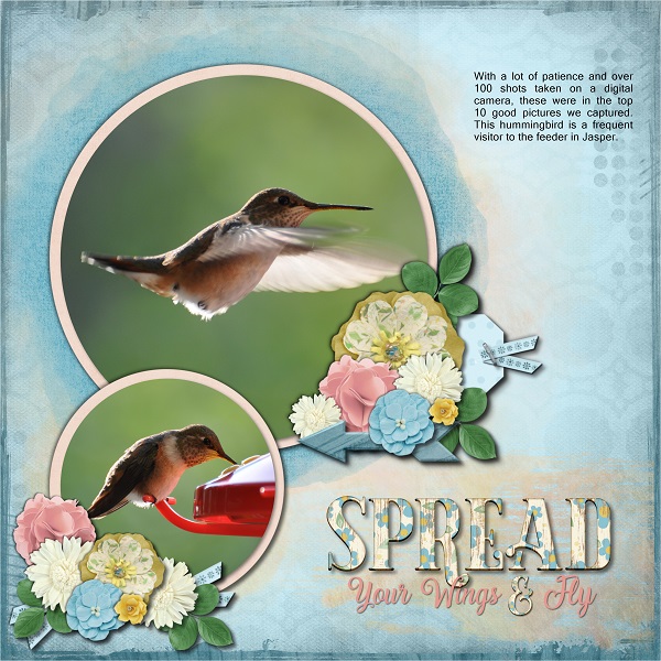 Spread Your Wings