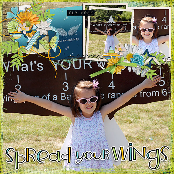 spread your wings