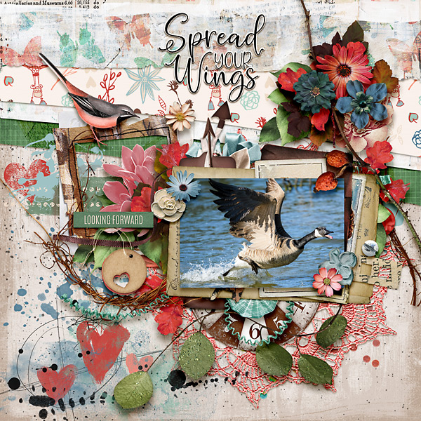 Spread Your Wings
