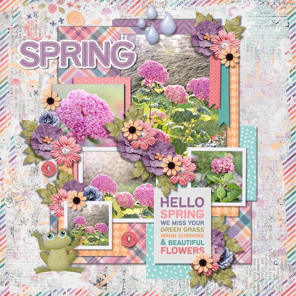 Spring 2
