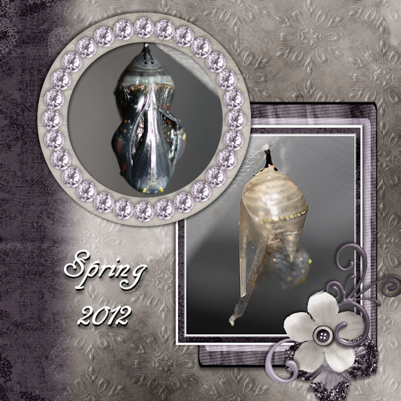 Spring 2012
