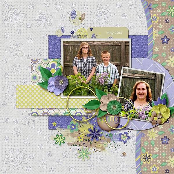 Spring 2014