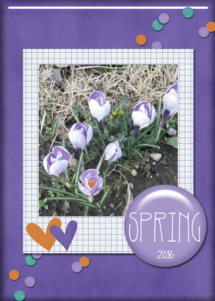 Spring 2016