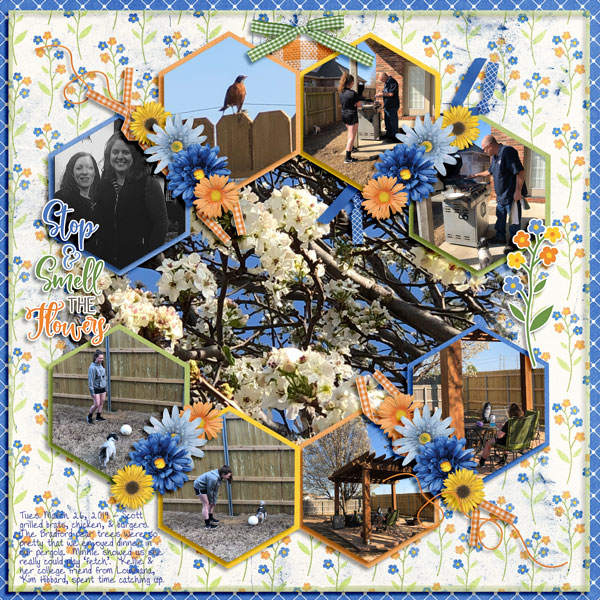 Spring 2019