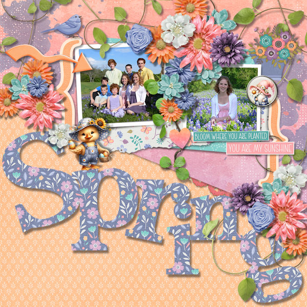 Spring 24