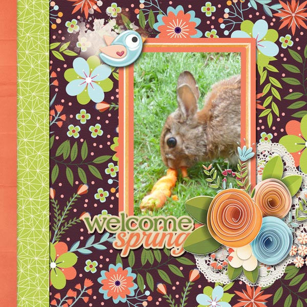 Spring Activity