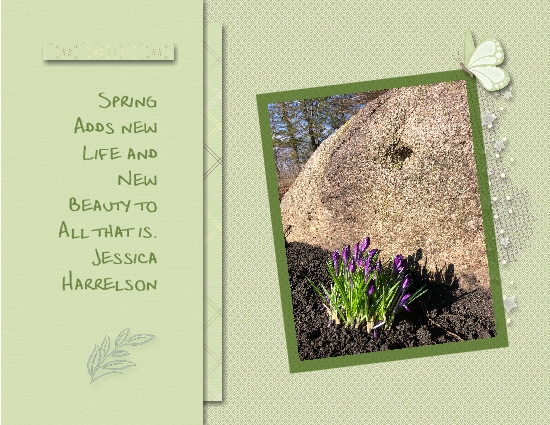 Spring adds New Life