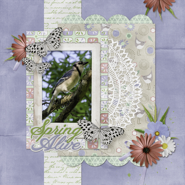 Spring Alive Blue Jay