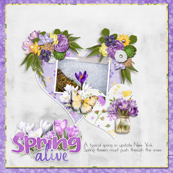 Spring Alive Crocus