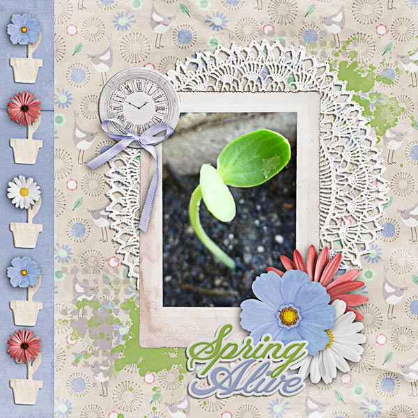 Spring Alive