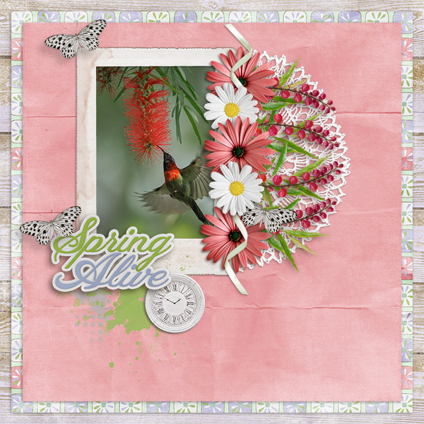 Spring Alive