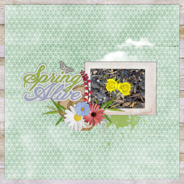 Spring Alive