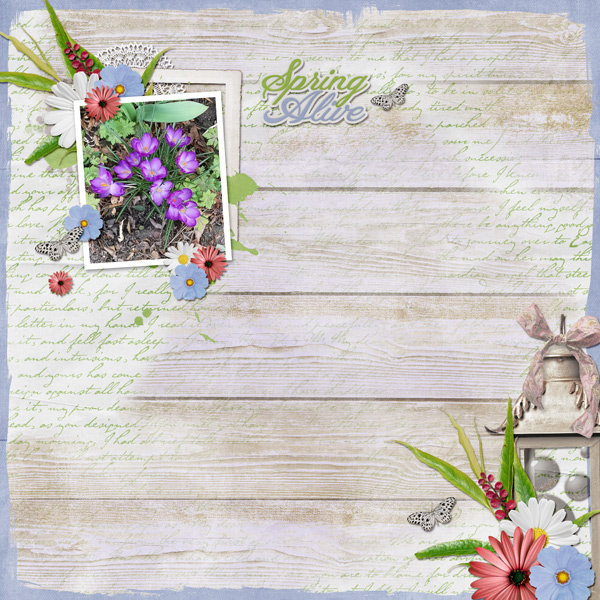 spring alive