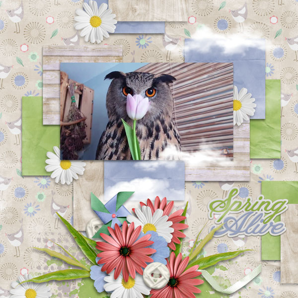 Spring Alive