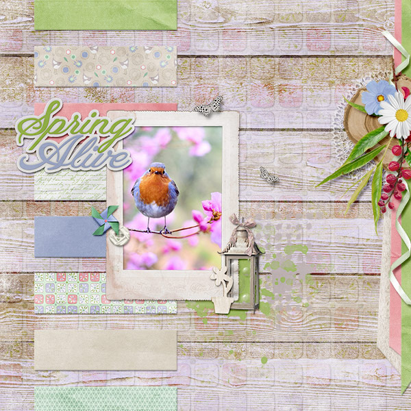Spring alive