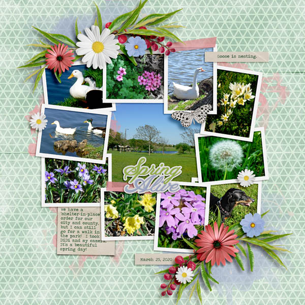 Spring Alive