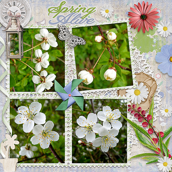 Spring Alive
