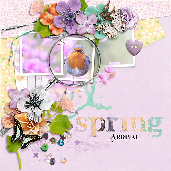 Spring Arrival