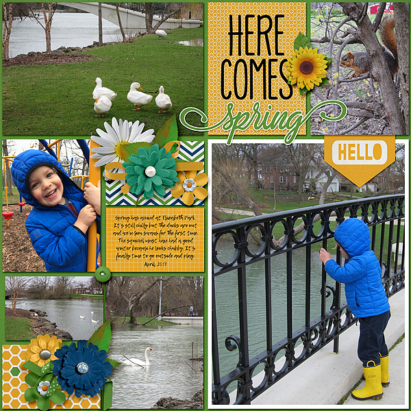 Spring at Elizabeth Park