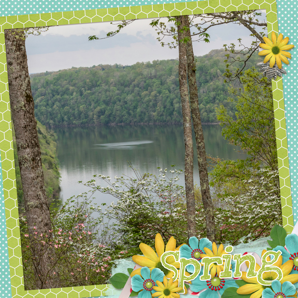 Spring at the Lake