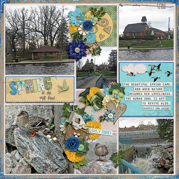 Spring at the Mill Pond