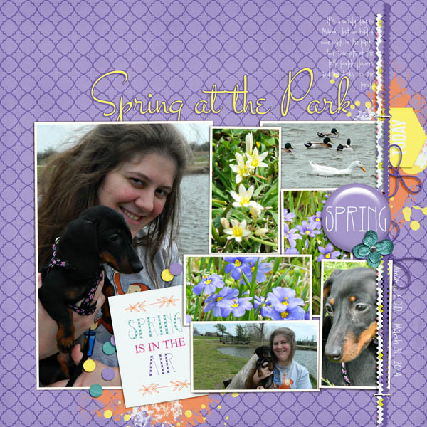 Spring at the Park