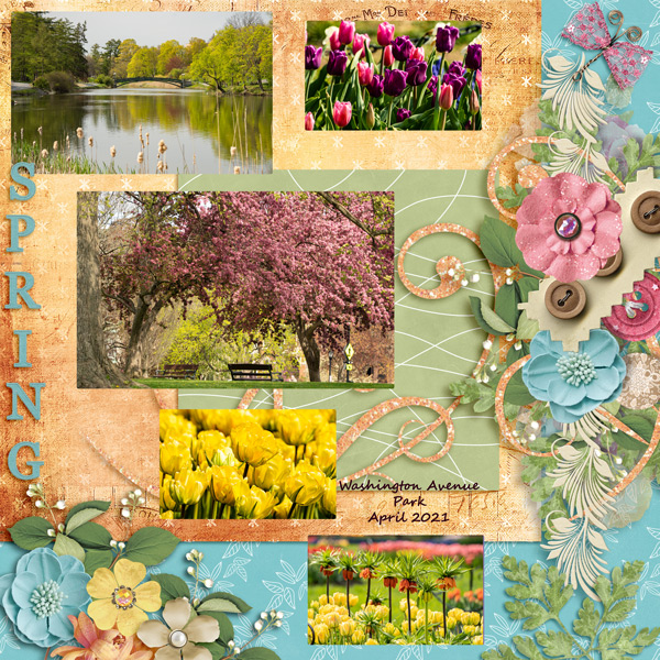 Spring at Washington Avenue Park