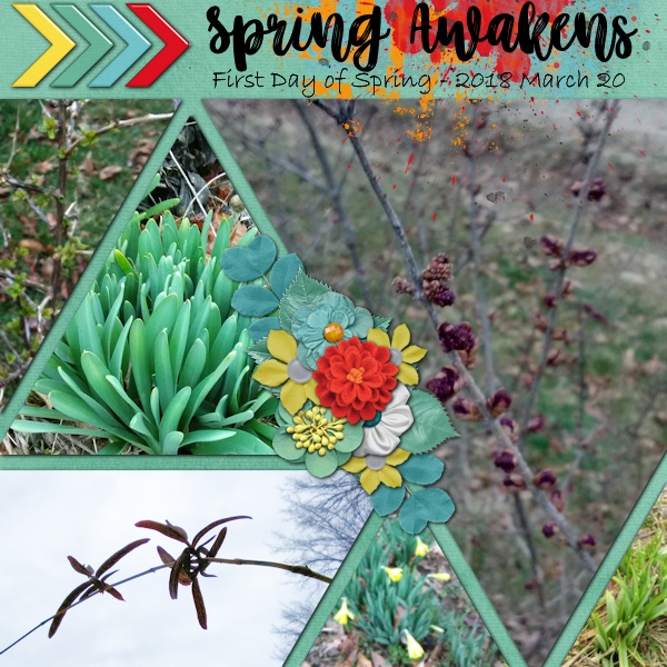 Spring Awakens