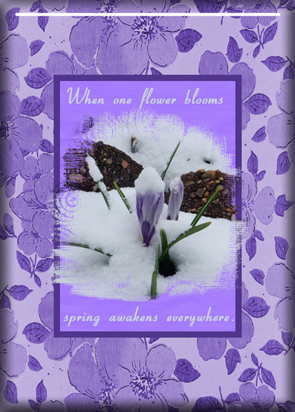 Spring Awakens