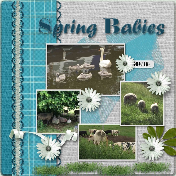 Spring Babies