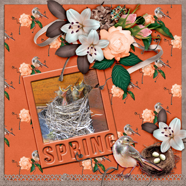 Spring-babies