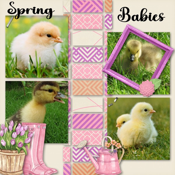 Spring Babies