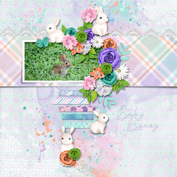 Spring Baby Bunny