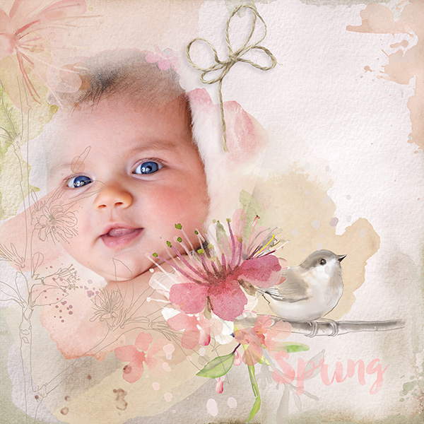 Spring Baby