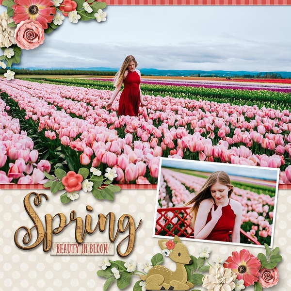~Spring Beauty in Bloom~