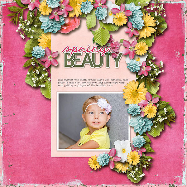 Spring Beauty