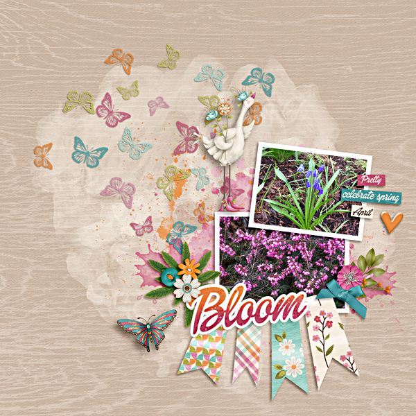 Spring Beauty