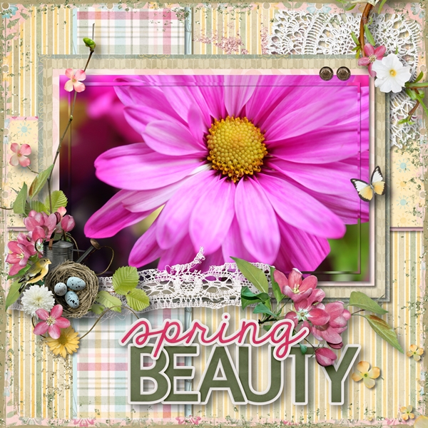 Spring Beauty