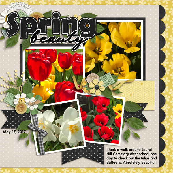 Spring Beauty