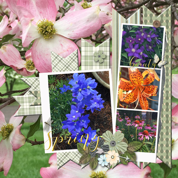 Spring Beauty
