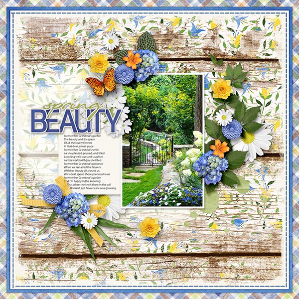 SPRING BEAUTY
