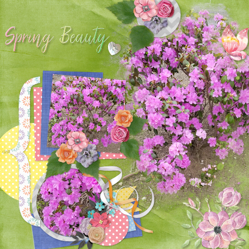 Spring Beauty