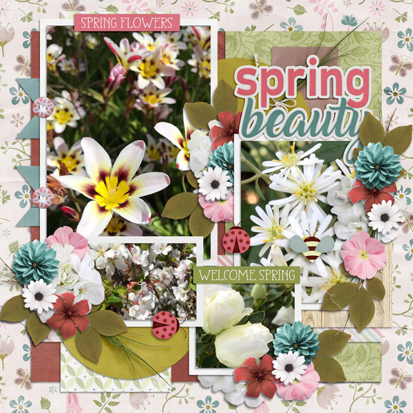 Spring Beauty