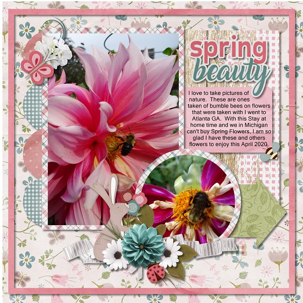 Spring Beauty