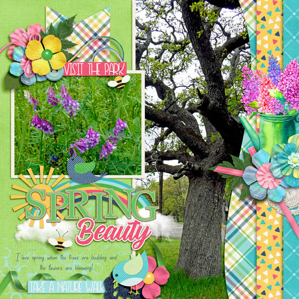 Spring Beauty