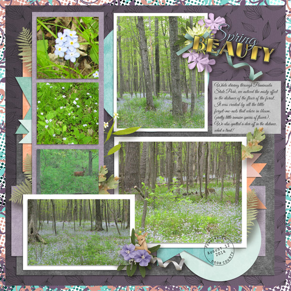 Spring Beauty