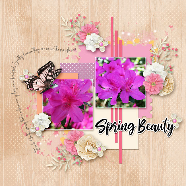 Spring Beauty