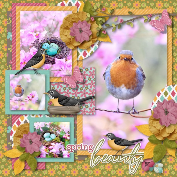 Spring Beauty