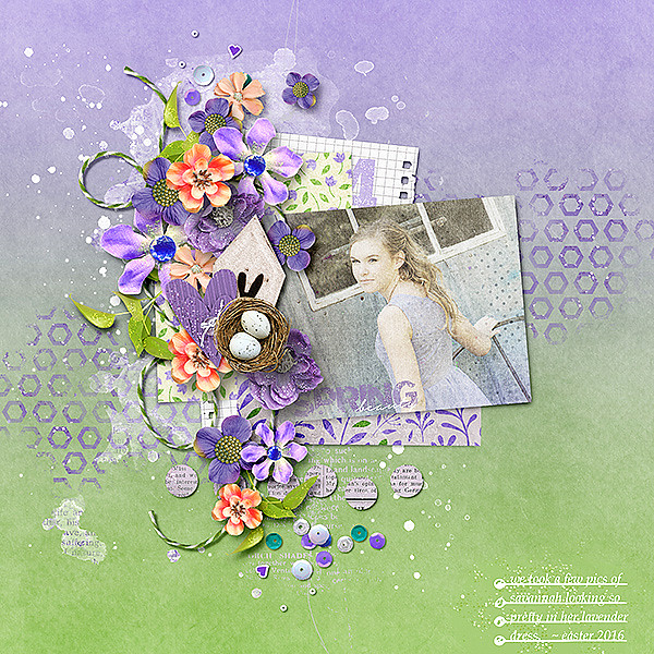 Spring beauty