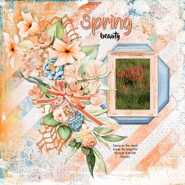 Spring Beauty